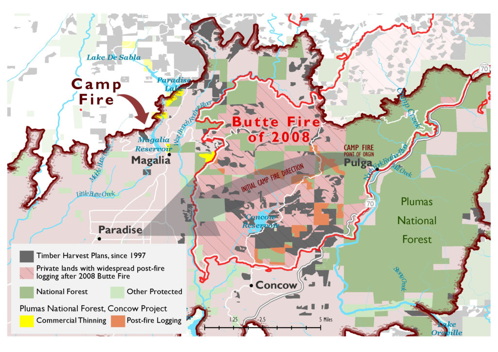 Map showing the boundary of the Camp Fire, the direction the fire burned and the extensive amount of logging and habitat removal that occurred between the fire's origin and the towns of Paradise, Magalia and Concow which did not stop the fire.
